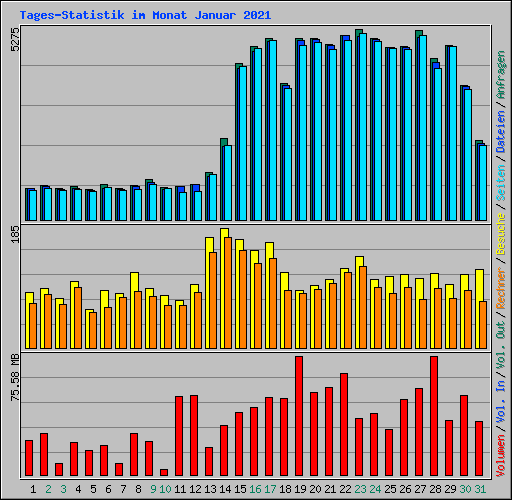 Tages-Statistik im Monat Januar 2021