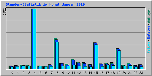 Stunden-Statistik im Monat Januar 2019