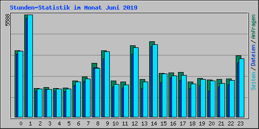 Stunden-Statistik im Monat Juni 2019