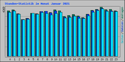 Stunden-Statistik im Monat Januar 2021