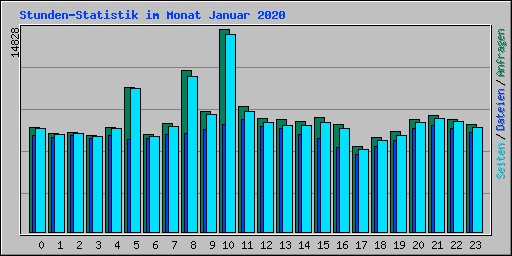 Stunden-Statistik im Monat Januar 2020