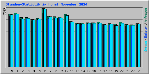 Stunden-Statistik im Monat November 2024